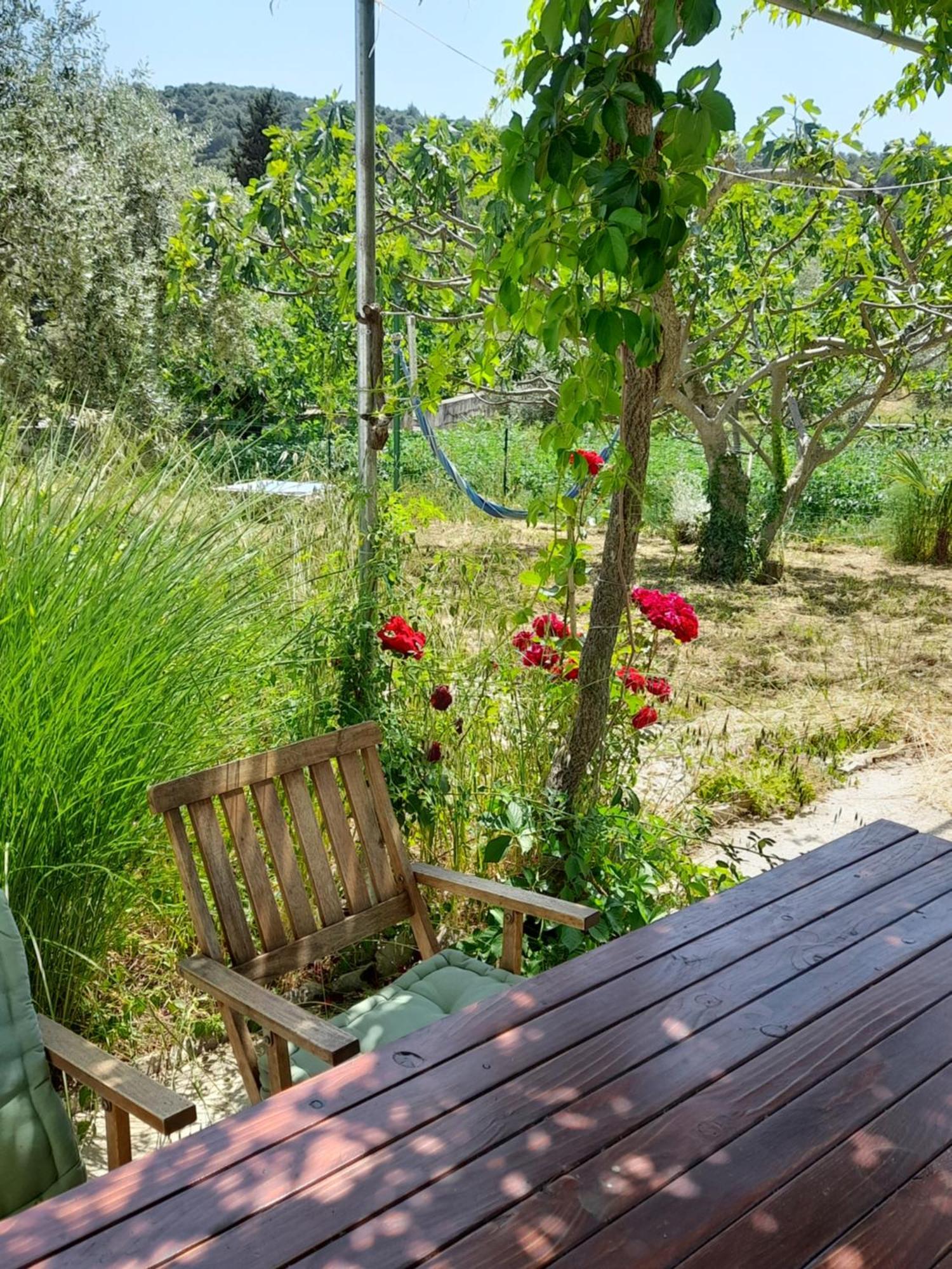 Rustic Holiday Home Miketa Lukoran Ngoại thất bức ảnh